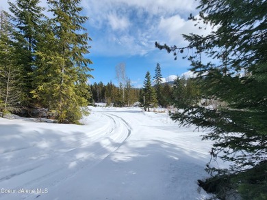 Discover your North ID mountain retreat on this exceptional - photo 20