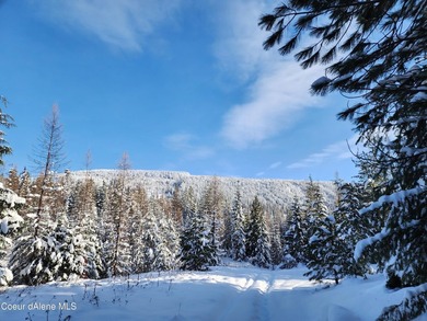Discover your North ID mountain retreat on this exceptional - photo 25
