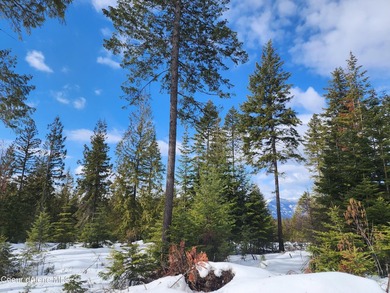 Discover your North ID mountain retreat on this exceptional - photo 28