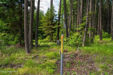 Discover your North ID mountain retreat on this exceptional - photo 36
