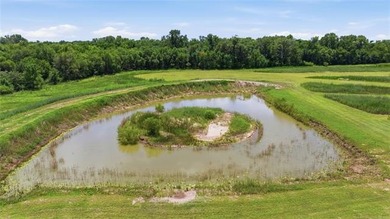 Welcome to this exceptional 160 mol acre farm property offering - photo 47