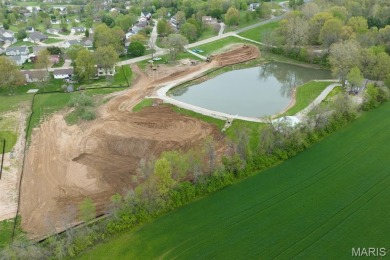 Lake Lot For Sale in Columbia, Illinois