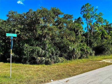 DOUBLE LOT - NEARLY HALF AN ACRE... Rare opportunity to own 2 - photo 3