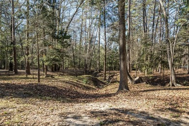 Home situated on 1.7 acres in the highly sought-after gated - photo 5