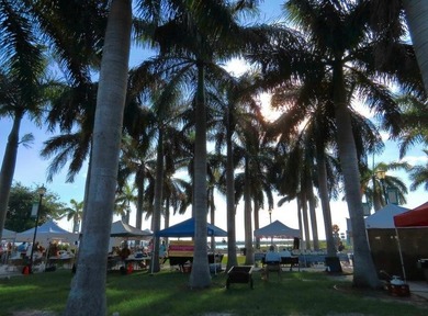 Discover your dream waterfront home site on Indian River Drive - photo 11