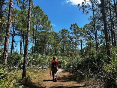 Discover your dream waterfront home site on Indian River Drive - photo 14