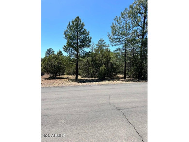 Show Low Lake Lot For Sale in Lakeside Arizona
