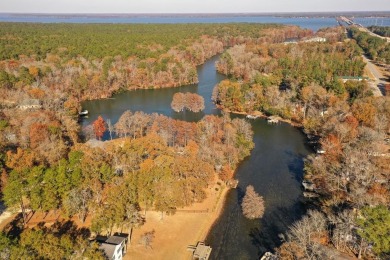 Lake Home For Sale in Santee, South Carolina