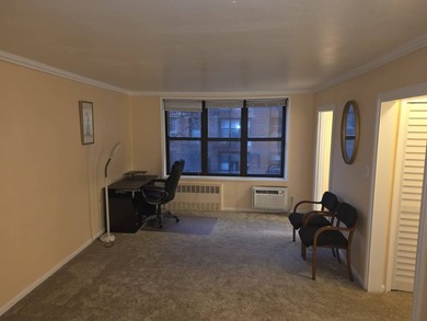 Newly Renovated Spacious Studio Co-op, 1 Bath, Flatlands/Old - photo 8