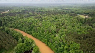 Lake Acreage For Sale in Northport, Alabama