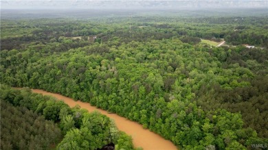 Lake Home For Sale in Northport, Alabama