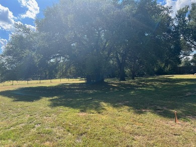 Lake Granbury Lot For Sale in Granbury Texas