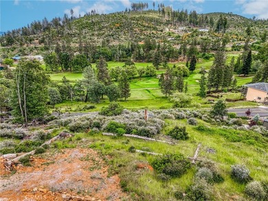 GORGEOUS VIEWS ABOUND! At almost half an acre, including - photo 2