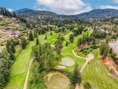 GORGEOUS VIEWS ABOUND! At almost half an acre, including - photo 3