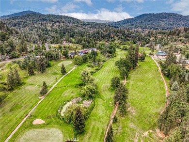 GORGEOUS VIEWS ABOUND! At almost half an acre, including - photo 4