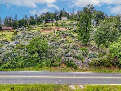 GORGEOUS VIEWS ABOUND! At almost half an acre, including - photo 5