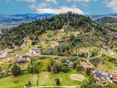 GORGEOUS VIEWS ABOUND! At almost half an acre, including - photo 8