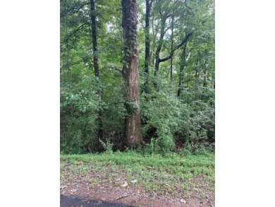 Tellico Lake Lot For Sale in Loudon Tennessee
