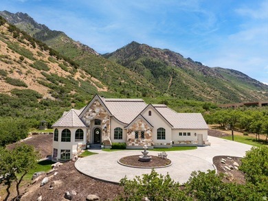 Stunning custom estate in Alpines highly coveted Willow Canyon - photo 1