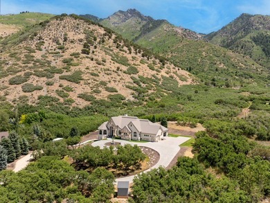 Stunning custom estate in Alpines highly coveted Willow Canyon - photo 4