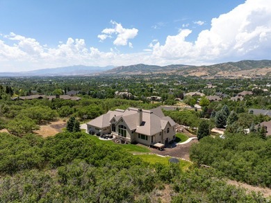 Stunning custom estate in Alpines highly coveted Willow Canyon - photo 5