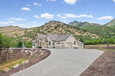 Stunning custom estate in Alpines highly coveted Willow Canyon - photo 6