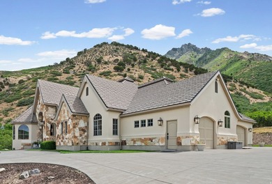 Stunning custom estate in Alpines highly coveted Willow Canyon - photo 7