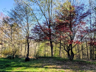 Tucked into one of the highest points in Smallwood, this - photo 31