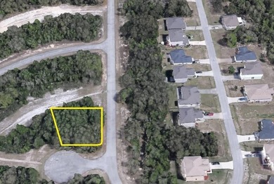 This is the one!!! Corner Lot - oversized. Check out this NICE - photo 2