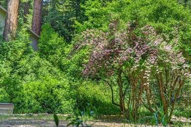 Tucked away from Vine Hill Road in the Happy Valley School - photo 33