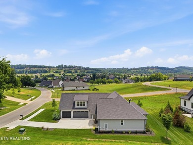 Welcome to 1869 Persimmon Ridge, a beautifully designed - photo 43