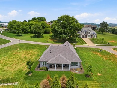 Welcome to 1869 Persimmon Ridge, a beautifully designed - photo 44