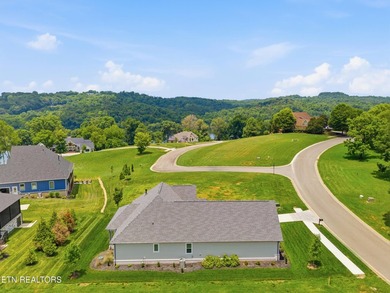 Welcome to 1869 Persimmon Ridge, a beautifully designed - photo 45
