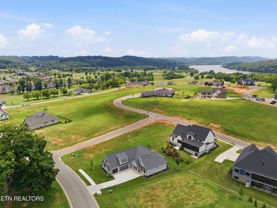 Welcome to 1869 Persimmon Ridge, a beautifully designed - photo 48
