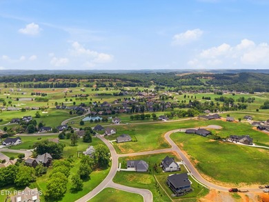 Welcome to 1869 Persimmon Ridge, a beautifully designed - photo 49