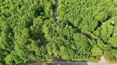 This approximately 2.5-acre lot offers a lush and tranquil - photo 1