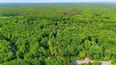 This approximately 2.5-acre lot offers a lush and tranquil - photo 2