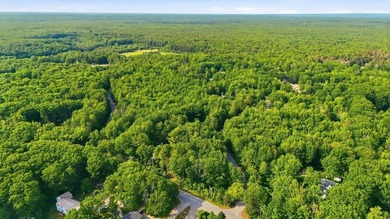 This approximately 2.5-acre lot offers a lush and tranquil - photo 3