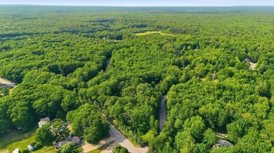 This approximately 2.5-acre lot offers a lush and tranquil - photo 4