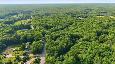 This approximately 2.5-acre lot offers a lush and tranquil - photo 5