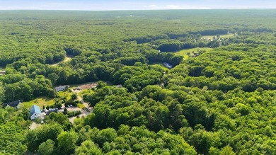 This approximately 2.5-acre lot offers a lush and tranquil - photo 6