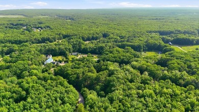 This approximately 2.5-acre lot offers a lush and tranquil - photo 7