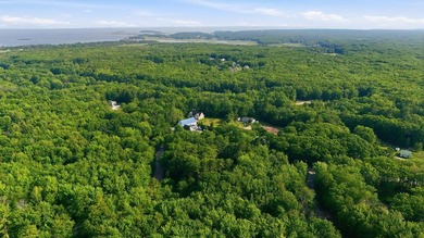 This approximately 2.5-acre lot offers a lush and tranquil - photo 8