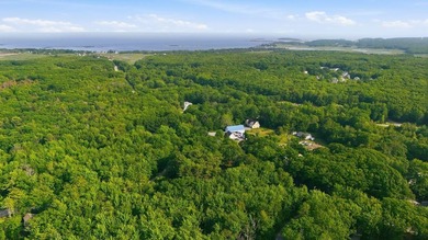 This approximately 2.5-acre lot offers a lush and tranquil - photo 9