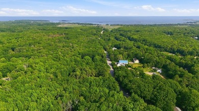 This approximately 2.5-acre lot offers a lush and tranquil - photo 10