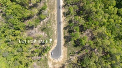 Lake Lot For Sale in Tuscaloosa, Alabama