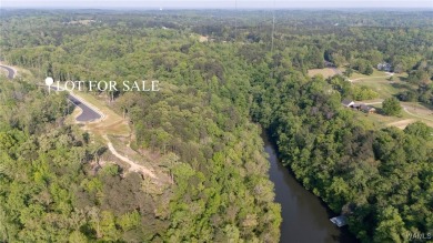 Lake Lot For Sale in Tuscaloosa, Alabama