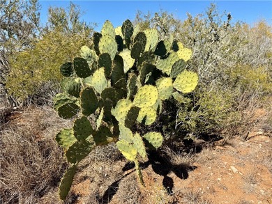 (private lake, pond, creek) Acreage For Sale in San Diego Texas