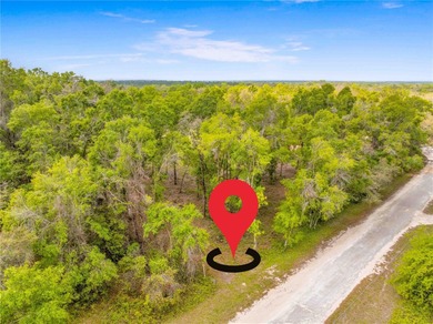 Withlacoochee River Lot For Sale in Webster Florida
