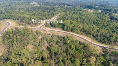Lake Lot For Sale in Tuscaloosa, Alabama